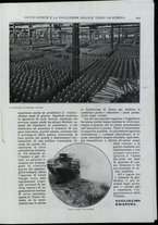 giornale/CFI0351021/1917/n. 006/15